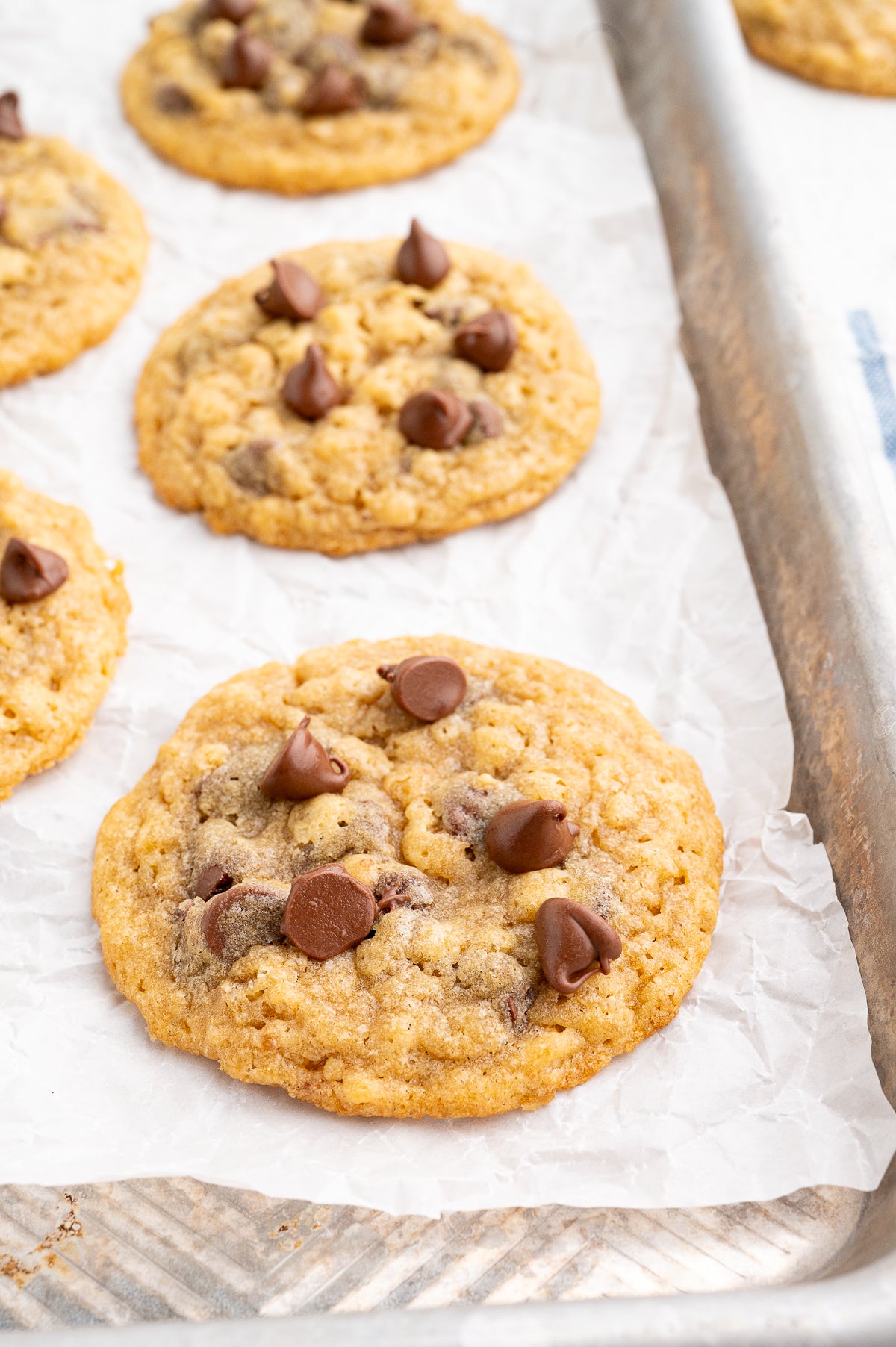 Chocolate Chip Cookies with Rice Krispies (Exclusive)