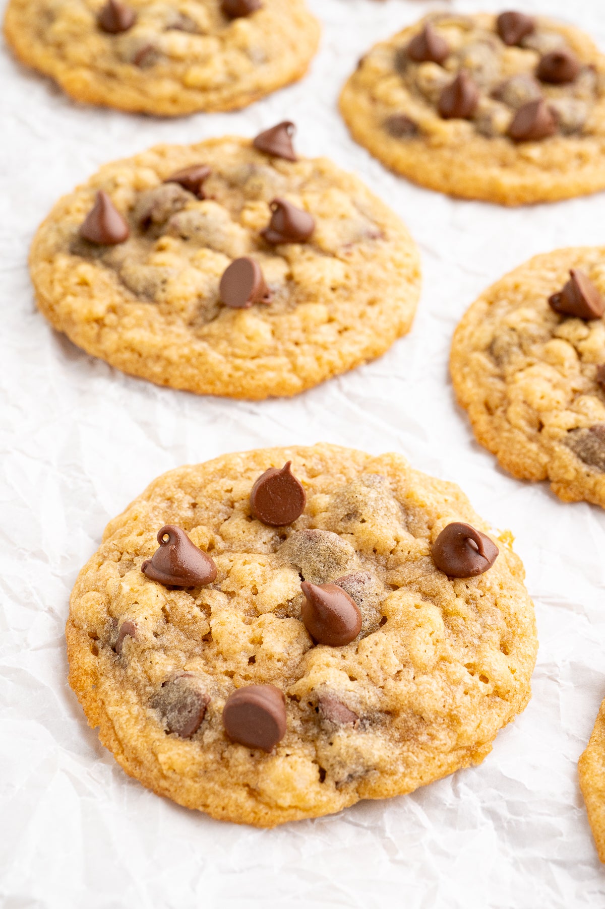Chocolate Chip Cookies with Rice Krispies (Exclusive)