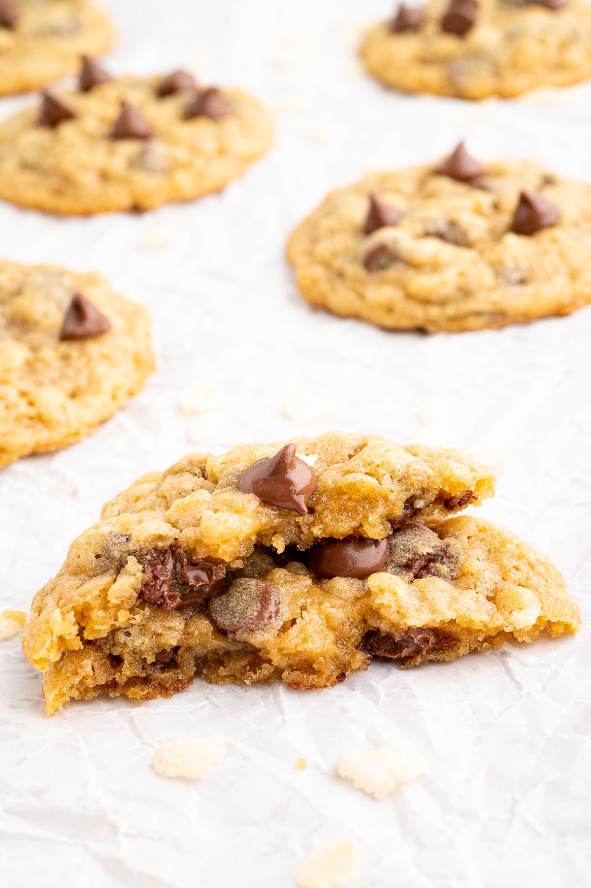 Chocolate Chip Cookies with Rice Krispies (Exclusive)