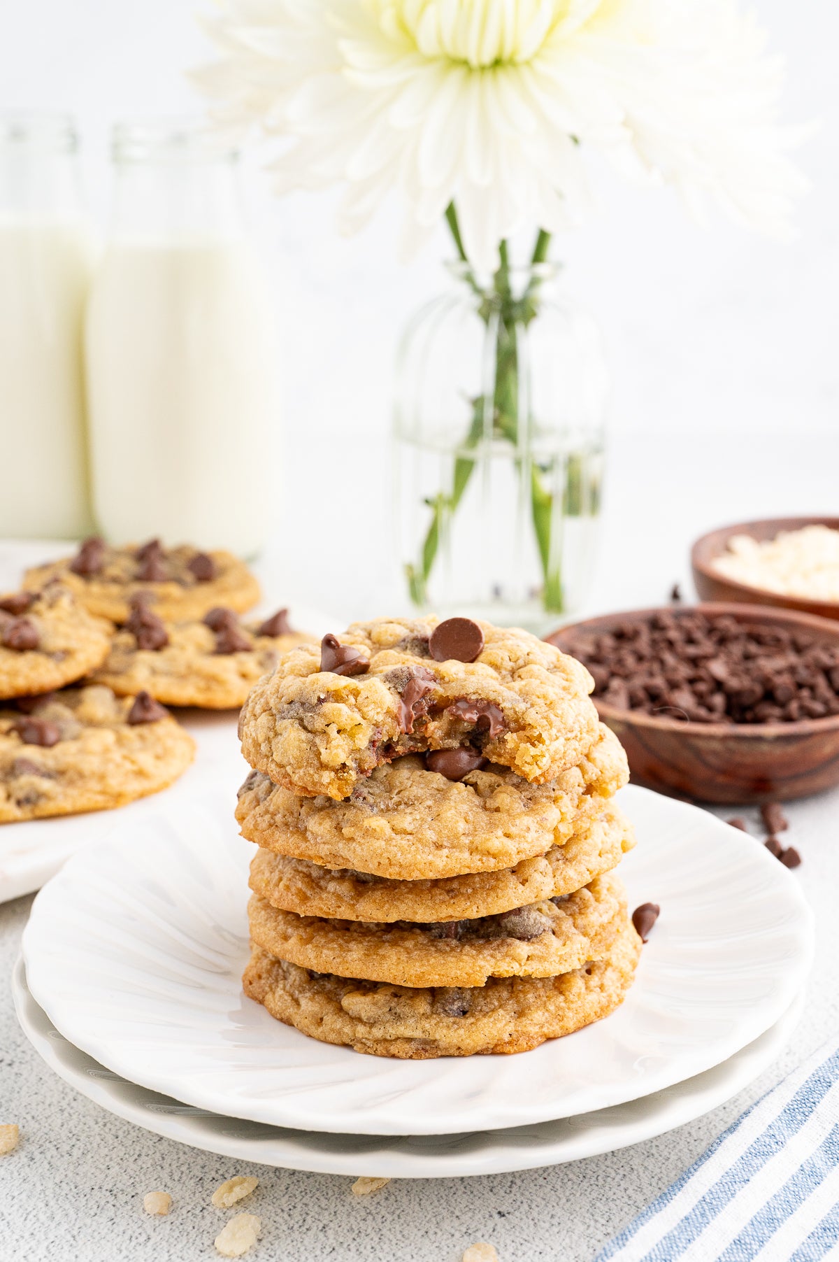 Chocolate Chip Cookies with Rice Krispies (Exclusive)