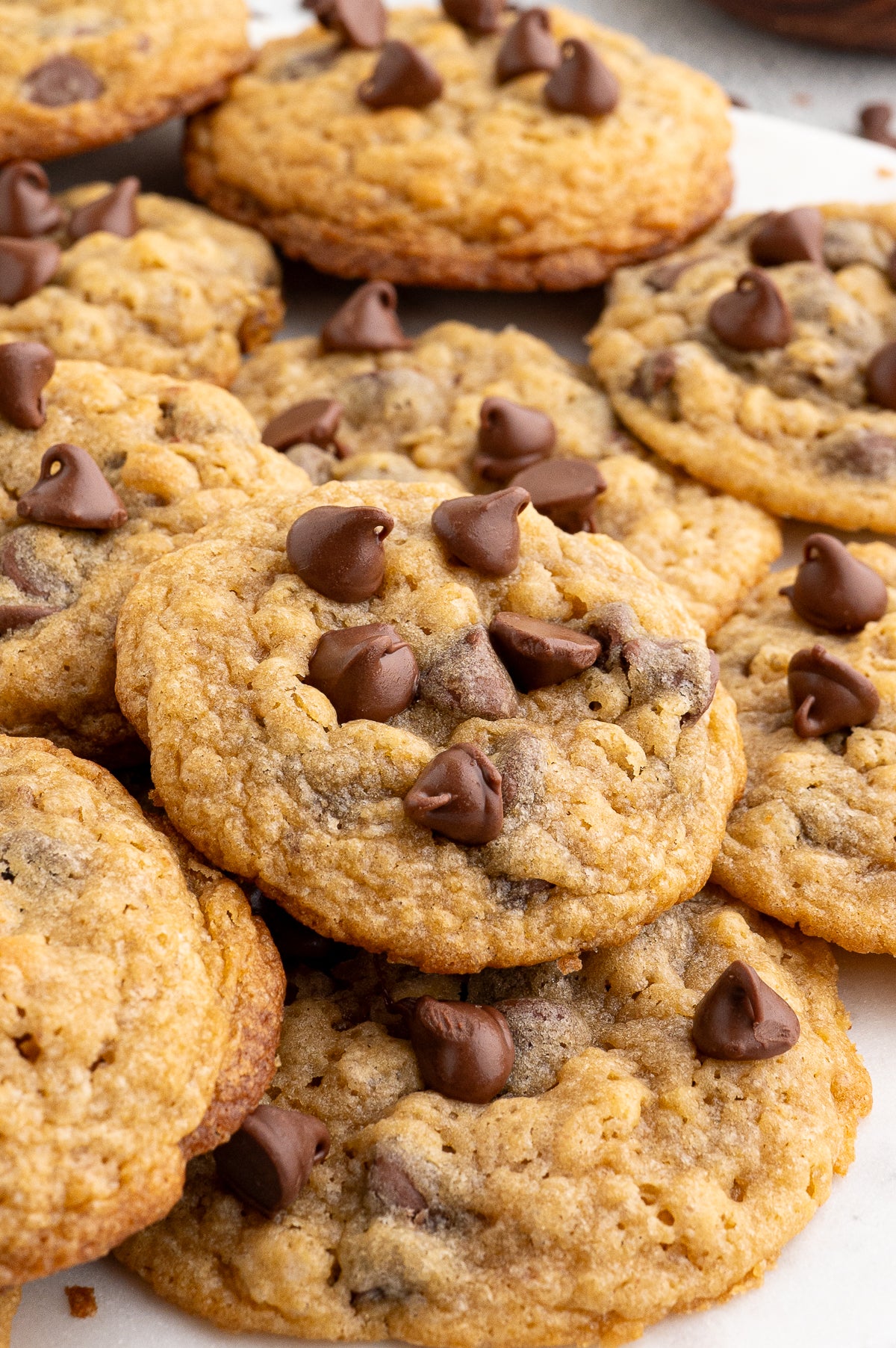 Chocolate Chip Cookies with Rice Krispies (Exclusive)