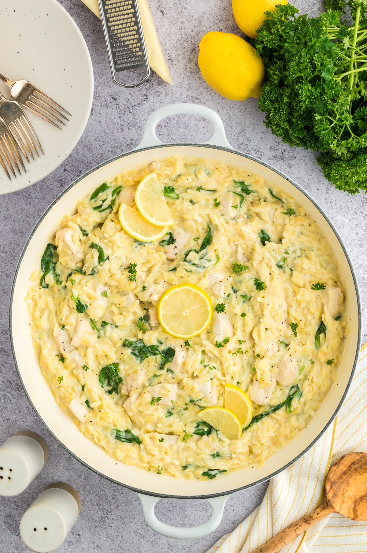 Creamy Lemon Chicken and Orzo (Exclusive)