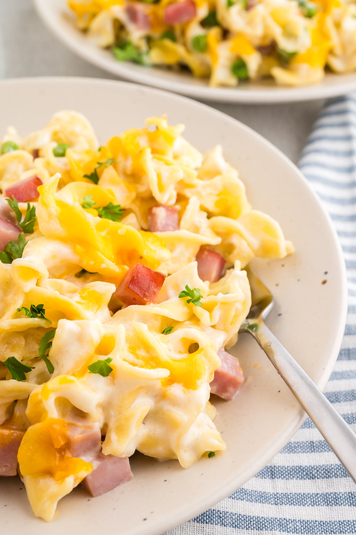 Ham and Noodle Casserole (Exclusive)