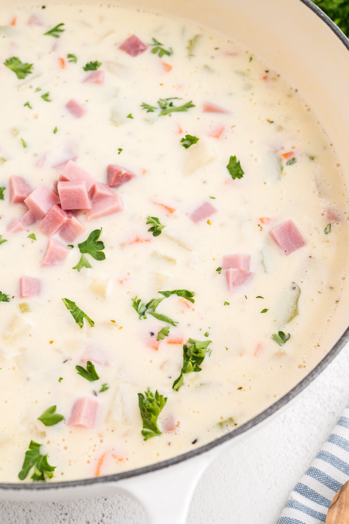 Creamy Ham and Potato Soup (Exclusive)