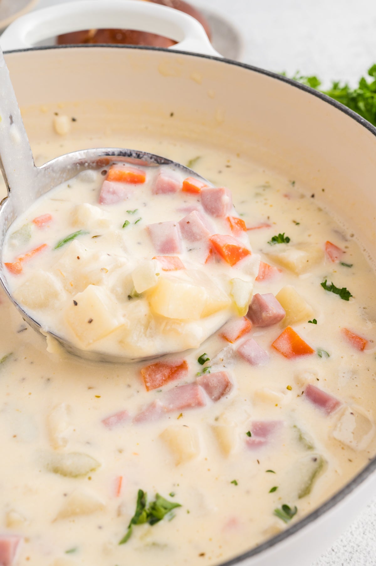 Creamy Ham and Potato Soup (Exclusive)