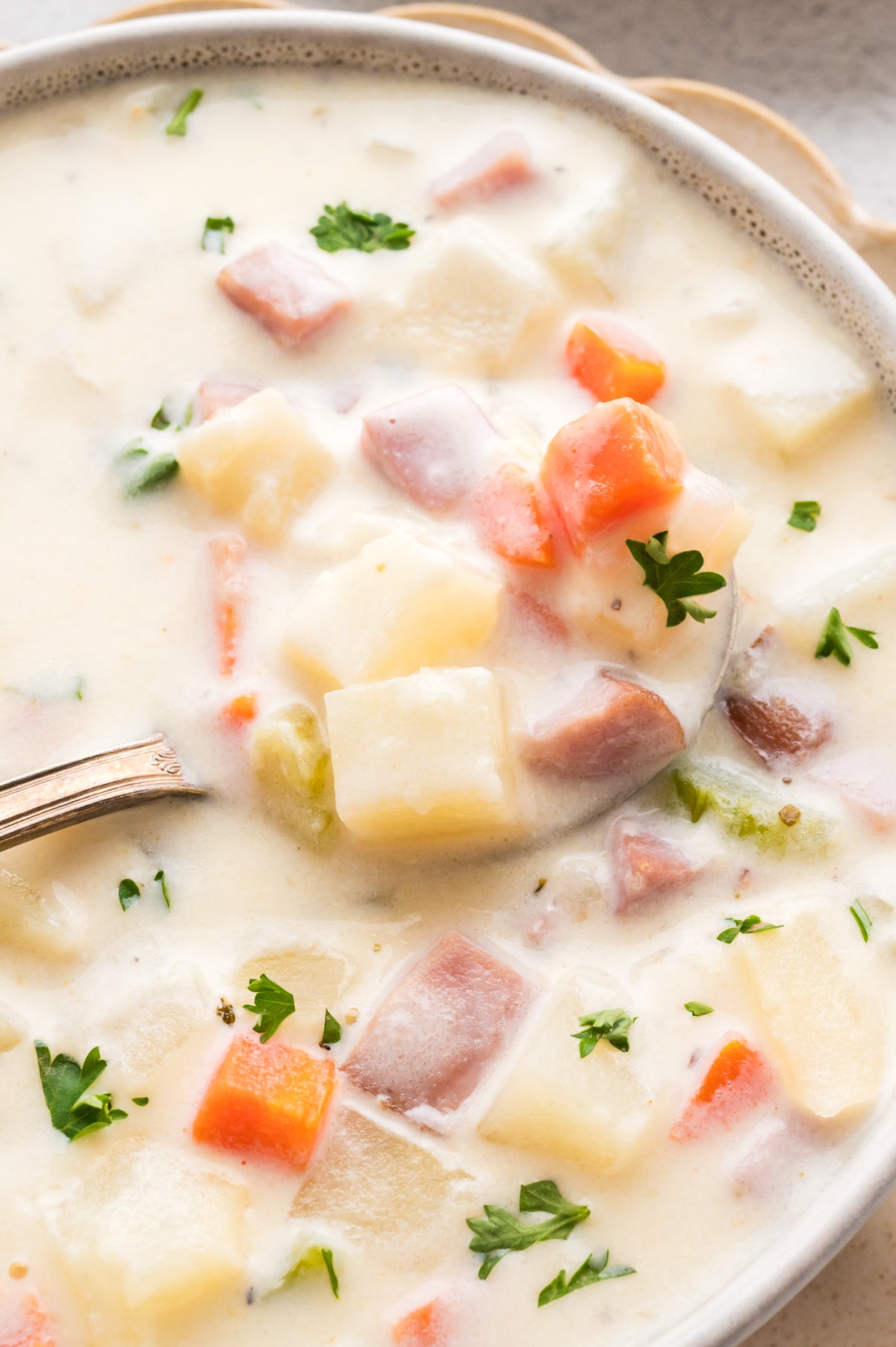 Creamy Ham and Potato Soup (Exclusive)