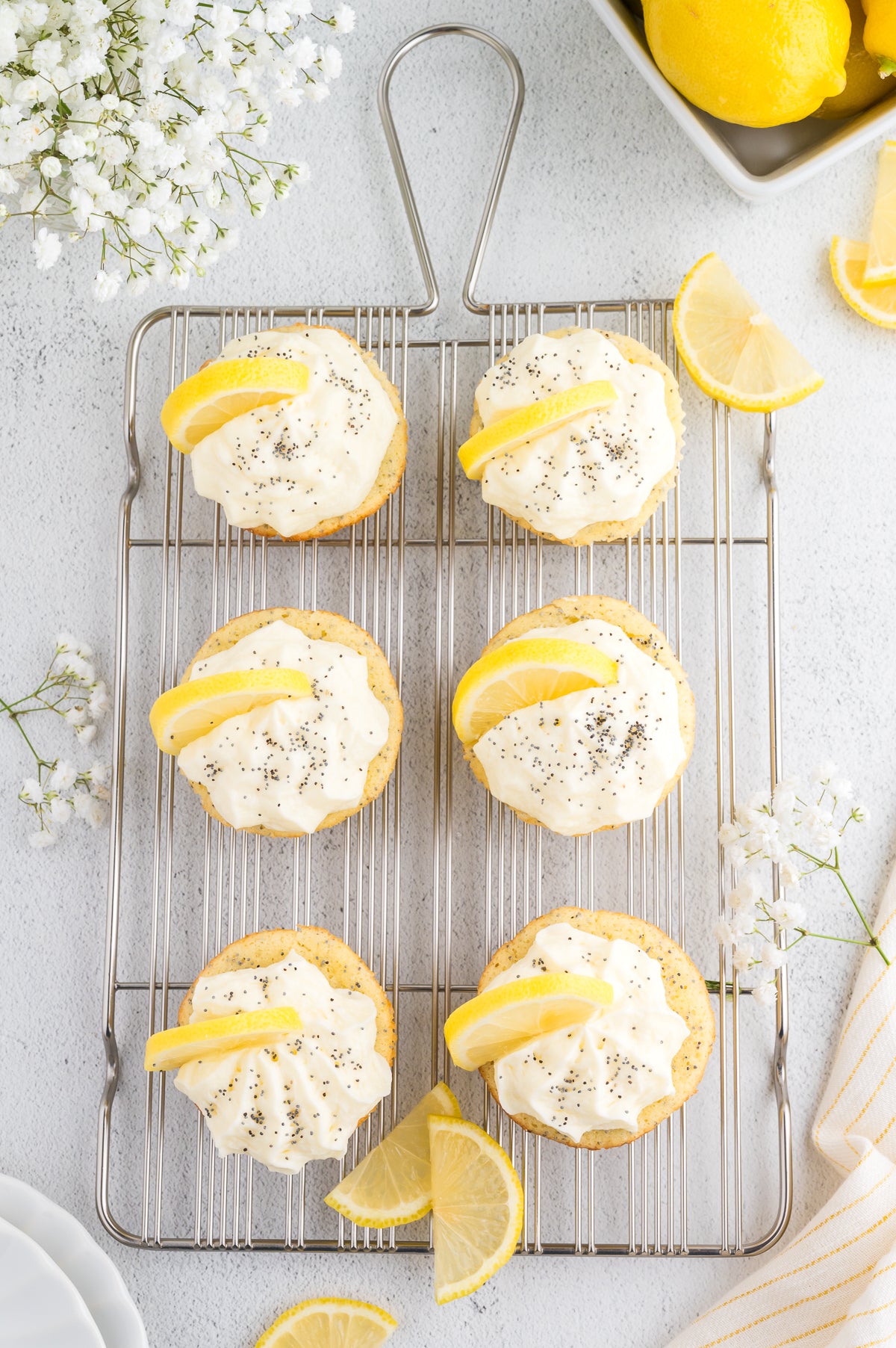 Lemon Poppyseed Cupcakes (Unique Semi Exclusive Set One)