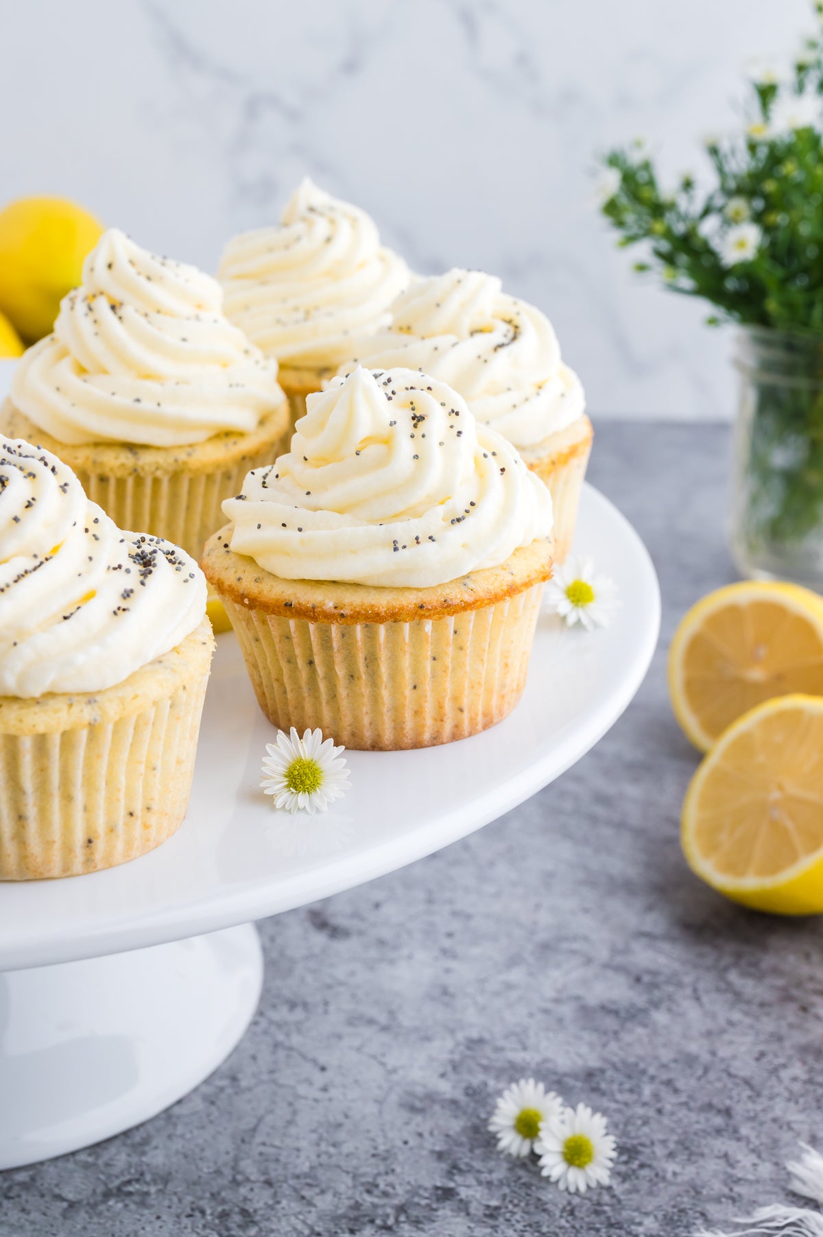 Lemon Poppyseed Cupcakes (Unique Semi Exclusive Set Two)