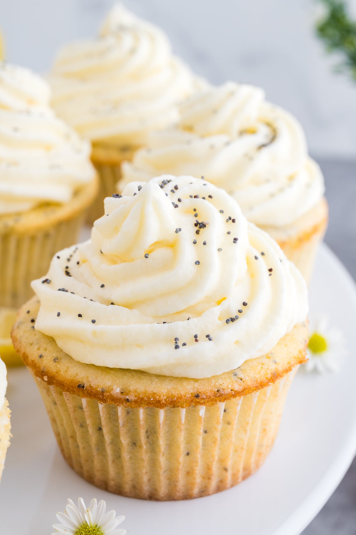 Lemon Poppyseed Cupcakes (Unique Semi Exclusive Set Two)